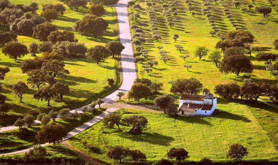 alentejo farm portugal